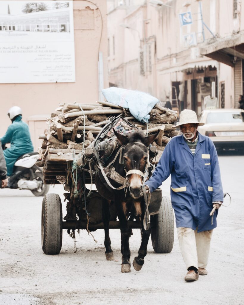Man with donkey carriage in Marrakech
