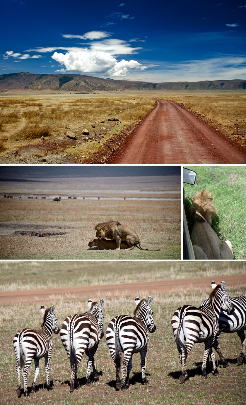 Tanzania, safari, Olduvai, Ngorongoro