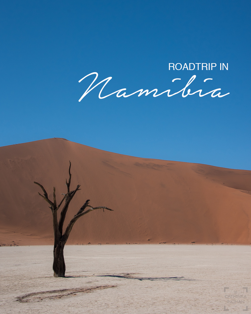 Namibia på egen hand
