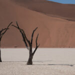 Namibia runt på 15 dagar Resa till Namibia