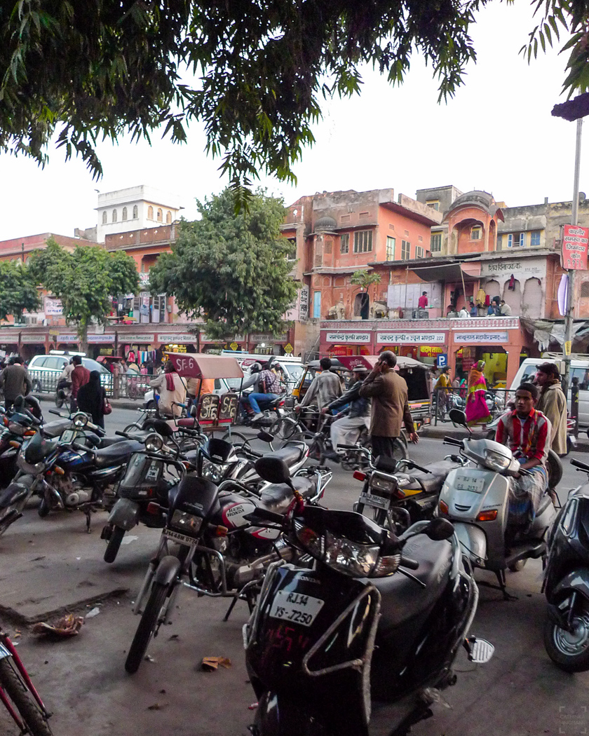 Jaipur den rosa staden, gatuliv