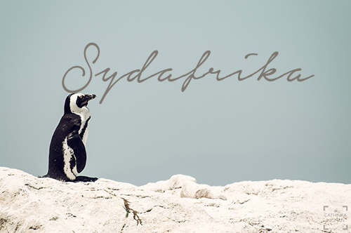 Restips sydafrika