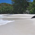 Seychellerna, Anse Lazlo, Praslin, paradisstränder