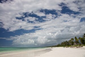 Zanzibar, Matemwe, paradisstrand, paradisstränder