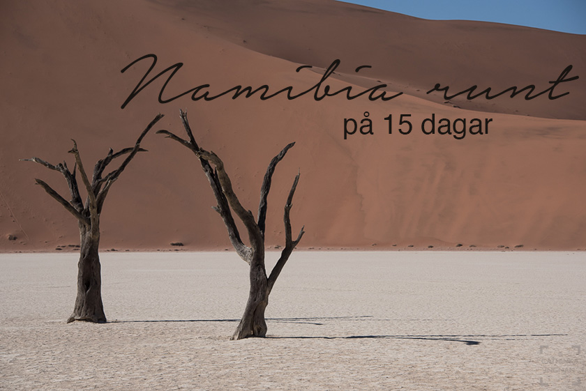 Namibia runt på 15 dagar