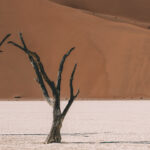 Resa till Namibia, reseblogg Namibia, Rundresa i Namibia