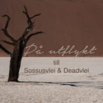 Sossusvlei-Deadvlei