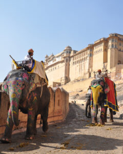 Jaipur den rosa staden, Amber Fort