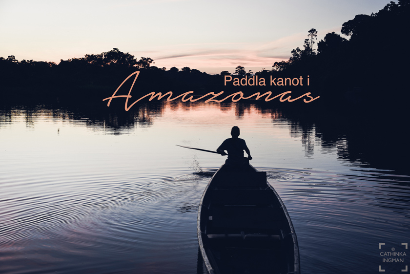 Paddla kanot i Amazonas – en dröm som går i uppfyllelse!