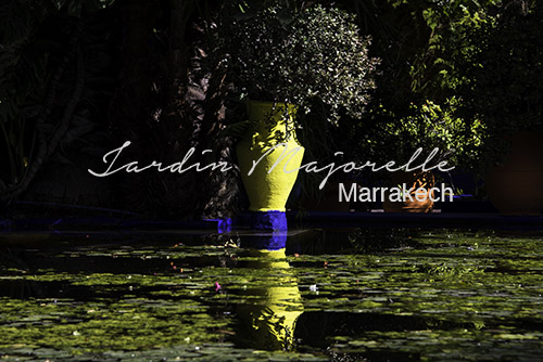 När du behöver en paus från Marrakech’s kaos – besök Jardin Majorelle