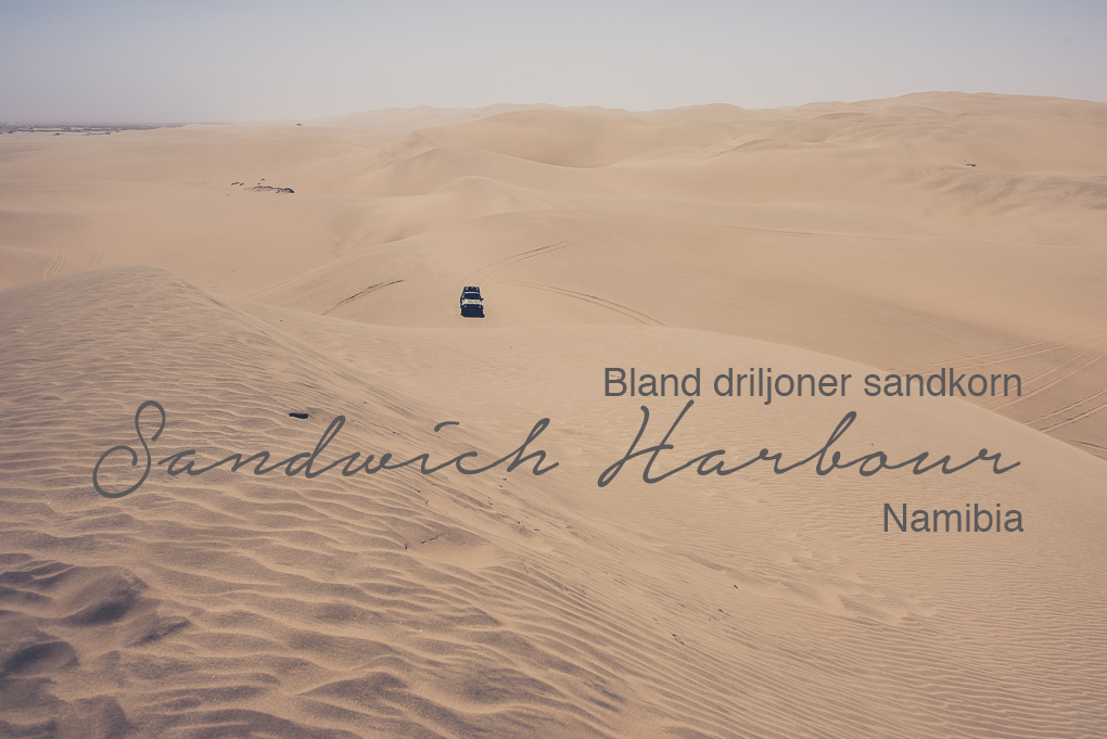 Bland driljoner sandkorn – Sandwich Harbour, Namibia