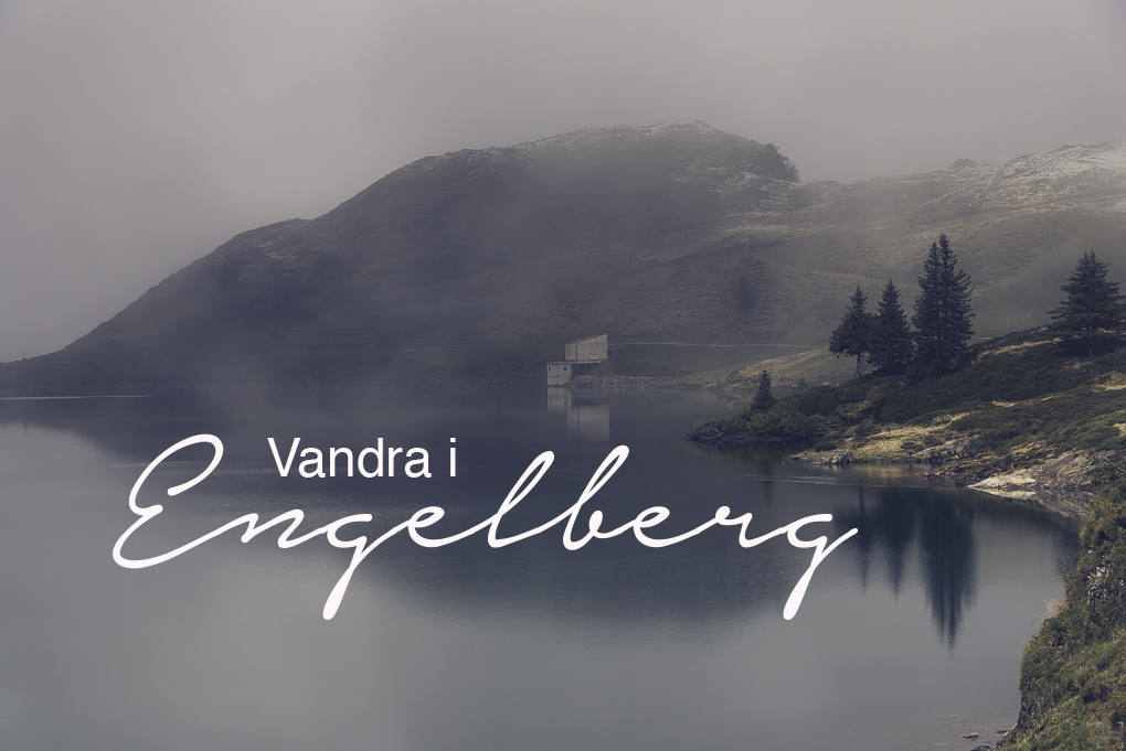 Vandra i Engelberg – Från Trubsee till Engelberg