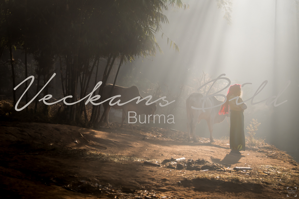 Veckans Bild – Burma