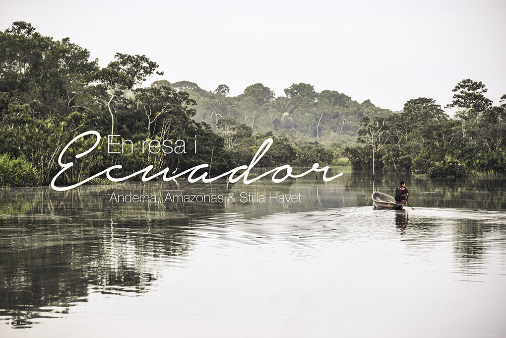 En resa i Ecuador – Anderna, Amazonas och Stilla havet