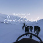Hundspann på Svalbard, reseblogg Svalbard, www.cathinkaingman.se