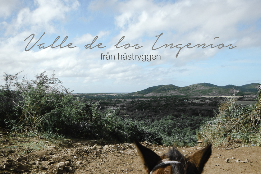 Valle de los Ingenios från hästryggen – om att rida på Kuba