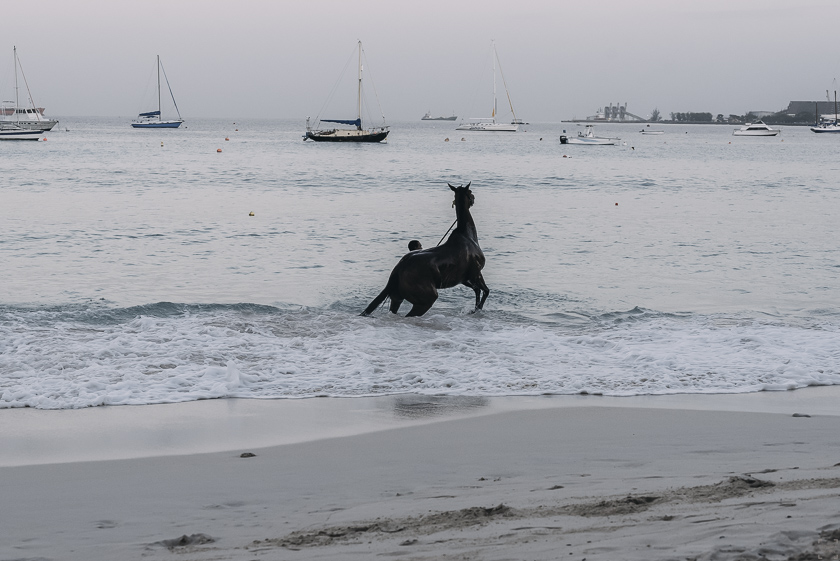 Simmande hästar på Barbados, Pebbles Beach