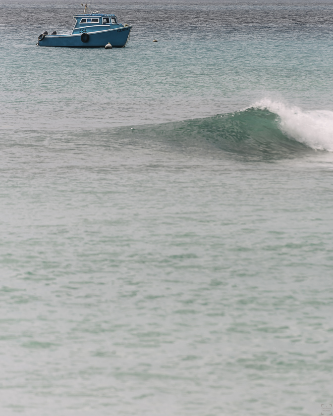Rom, socker, Barbados