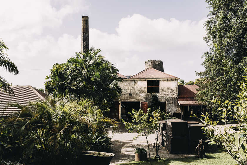 Rom, socker, Barbados