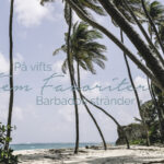 Barbados stränder, bästa strand barbados