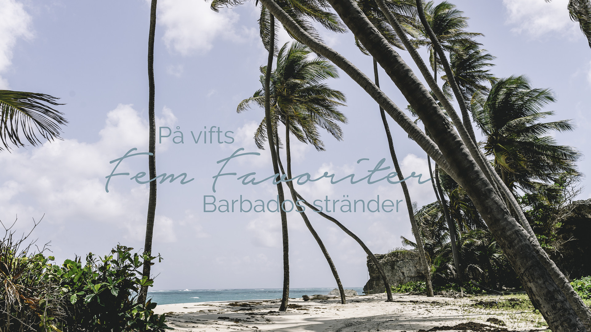Fem favoriter – Barbados stränder