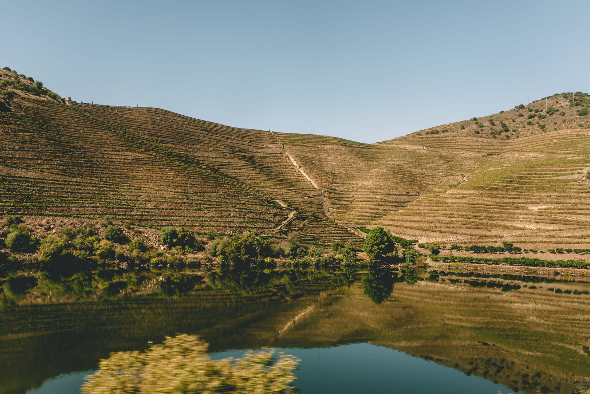 Linha do Douro, världens vackraste tågsträcka