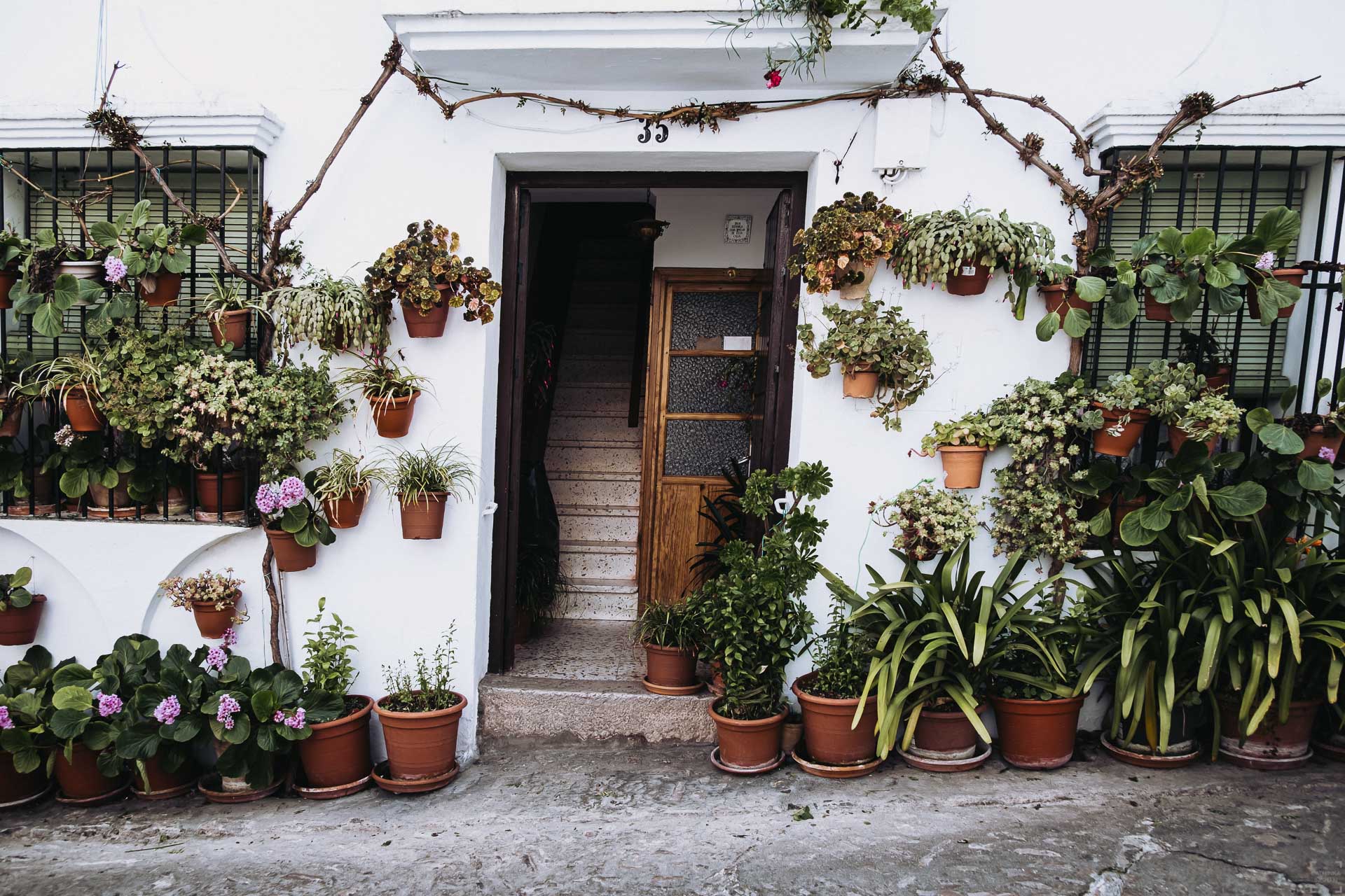 De vita byarna, Andalusien