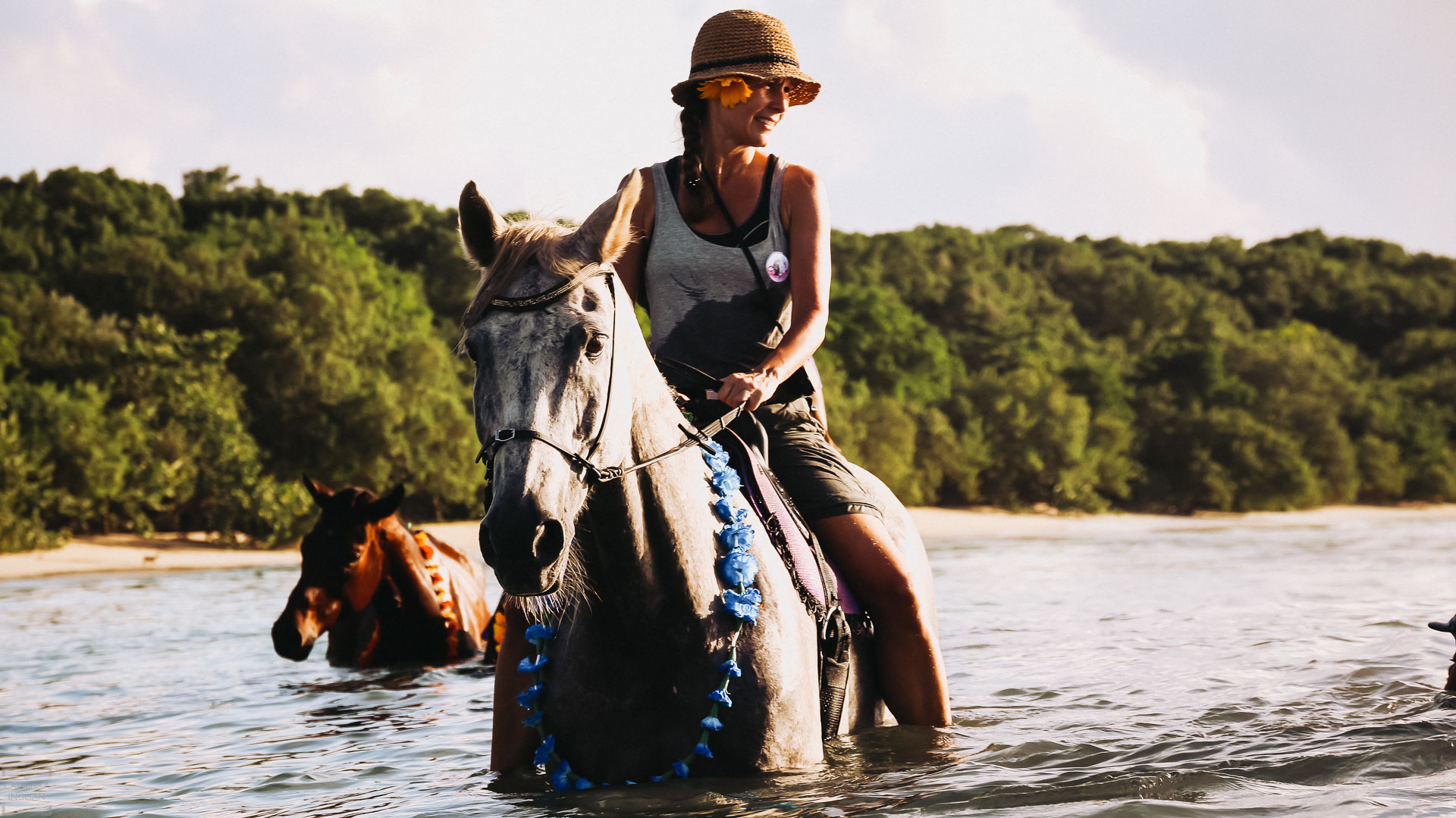 Tidtur på Tobago med Being with horses