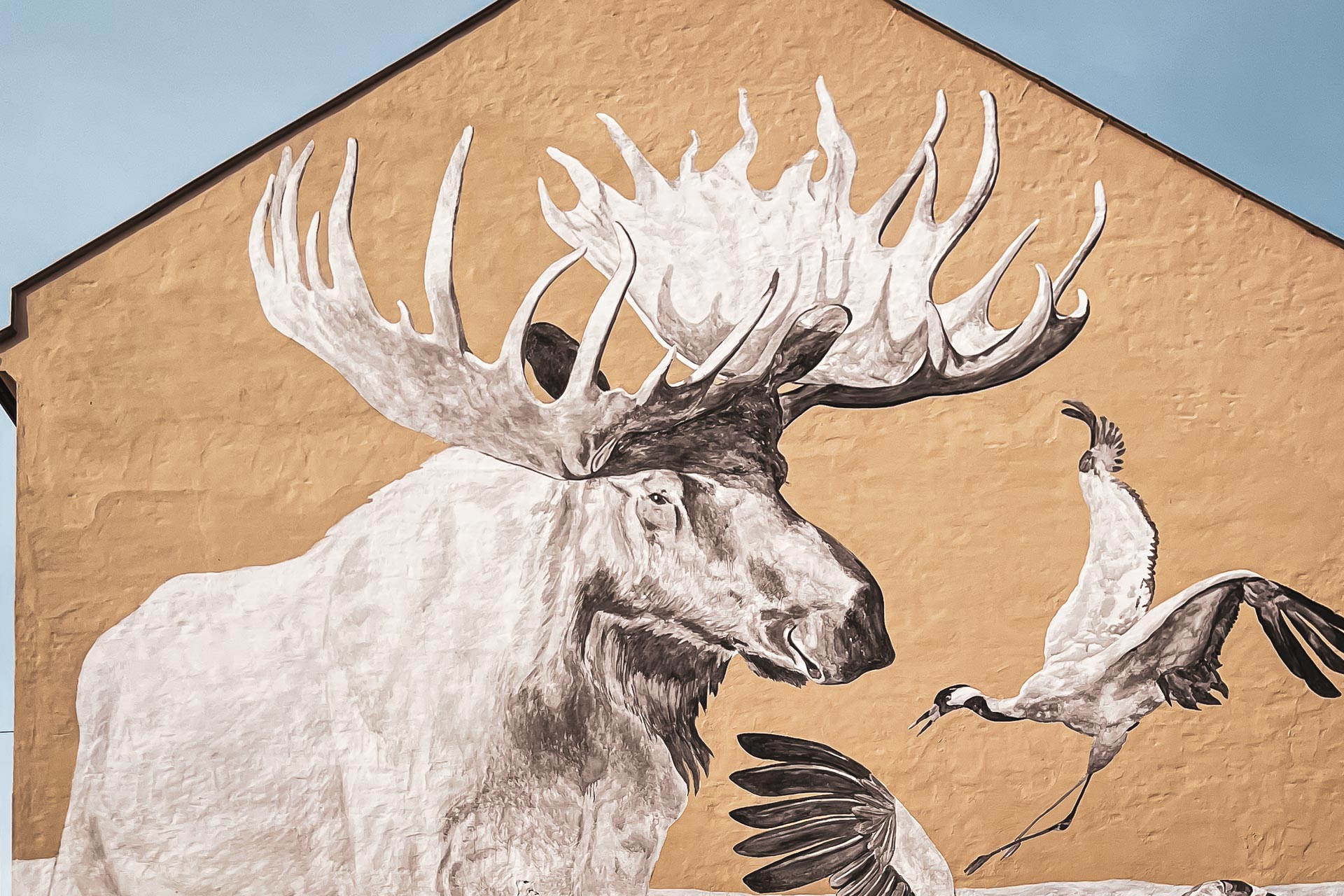 Street Art-safari i Linköping