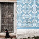 hund i Lissabon
