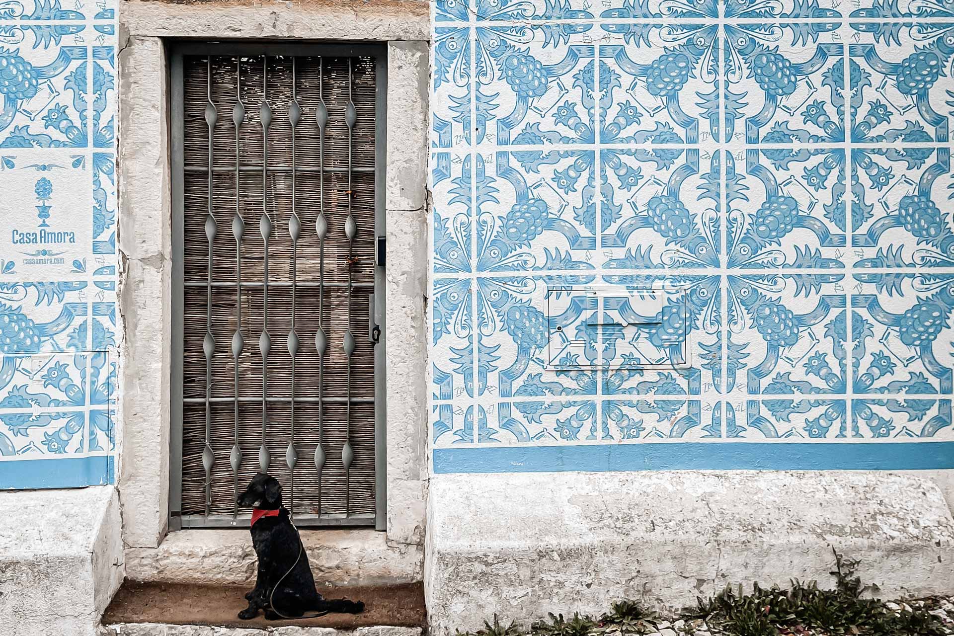Tintin i Lissabon – med hund i Lissabon