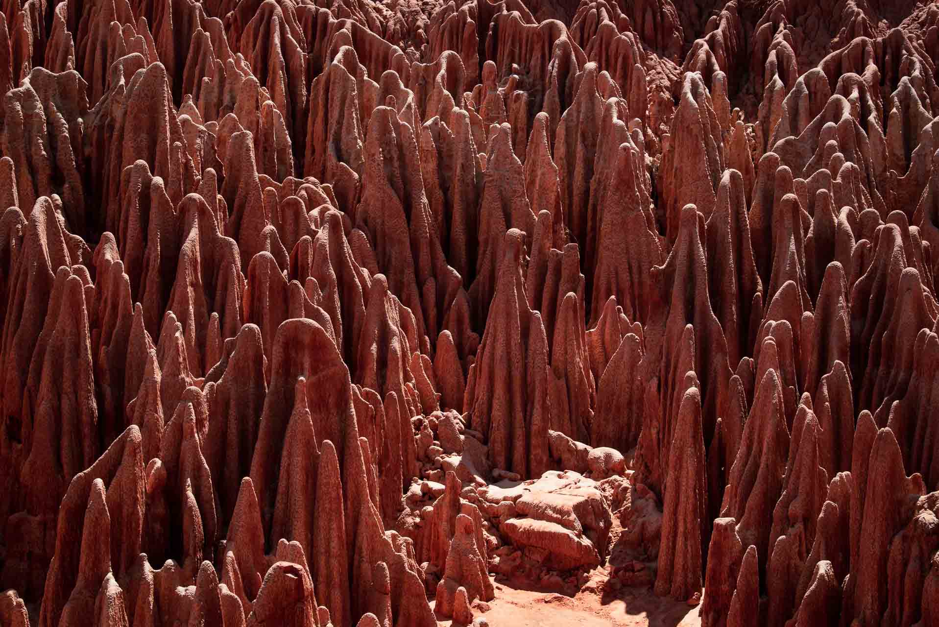 Madagaskar, Tsingy Rouge, Red Tsingy, en massa tsingys