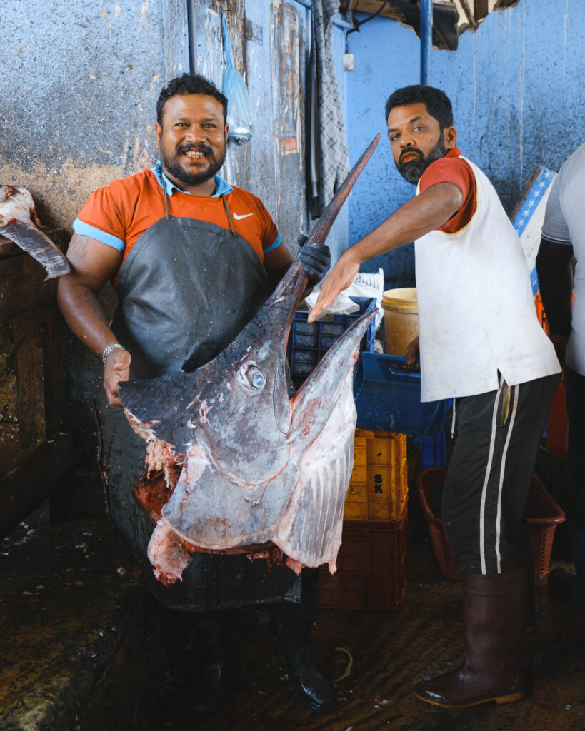 Negombo fiskmarknad, Sri Lanka