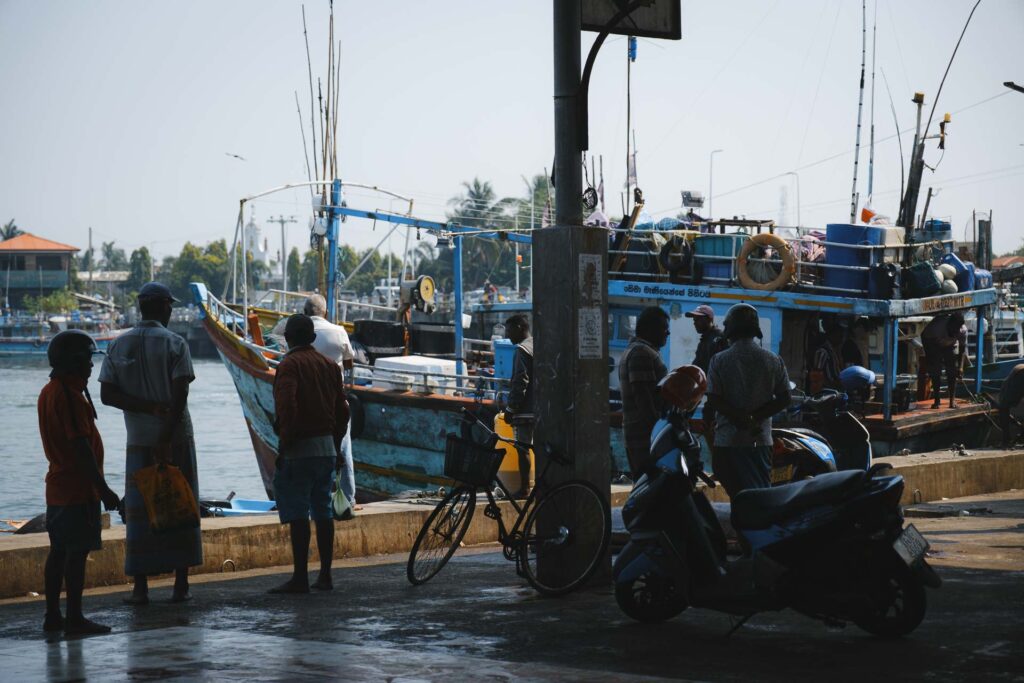 Negombo fiskmarknad, Sri Lanka