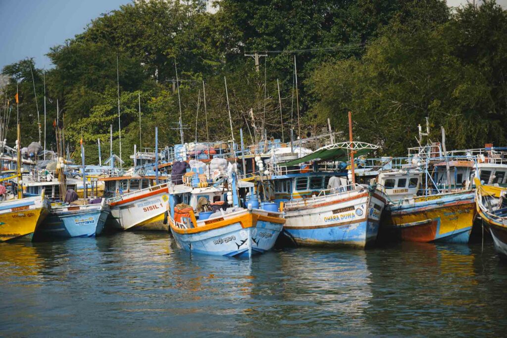 Negombo fiskmarknad, Sri Lanka