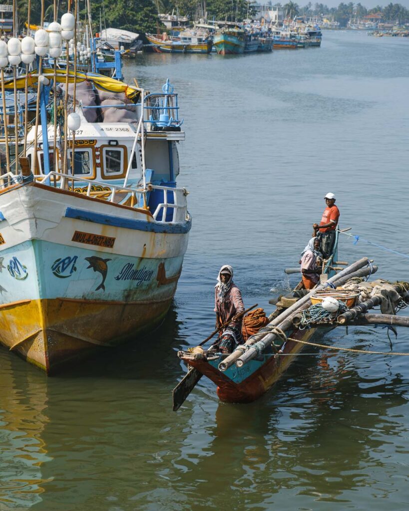 Negombo fiskmarknad, Sri Lanka