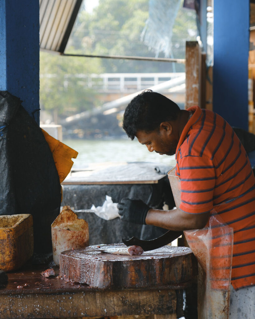 Negombo fiskmarknad, Sri Lanka, fisk slaktas