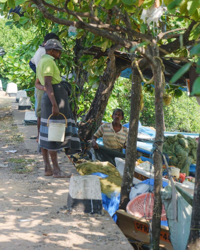 Negombo fiskmarknad, Sri Lanka