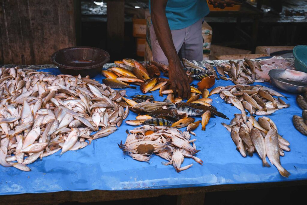 Negombo fiskmarknad, Sri Lanka, detalj med hand och fisk