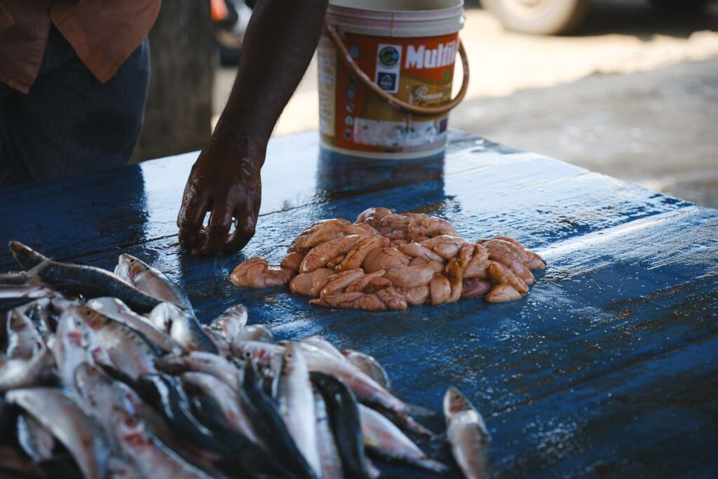 Negombo fiskmarknad, Sri Lanka, detalj med hand och fisk