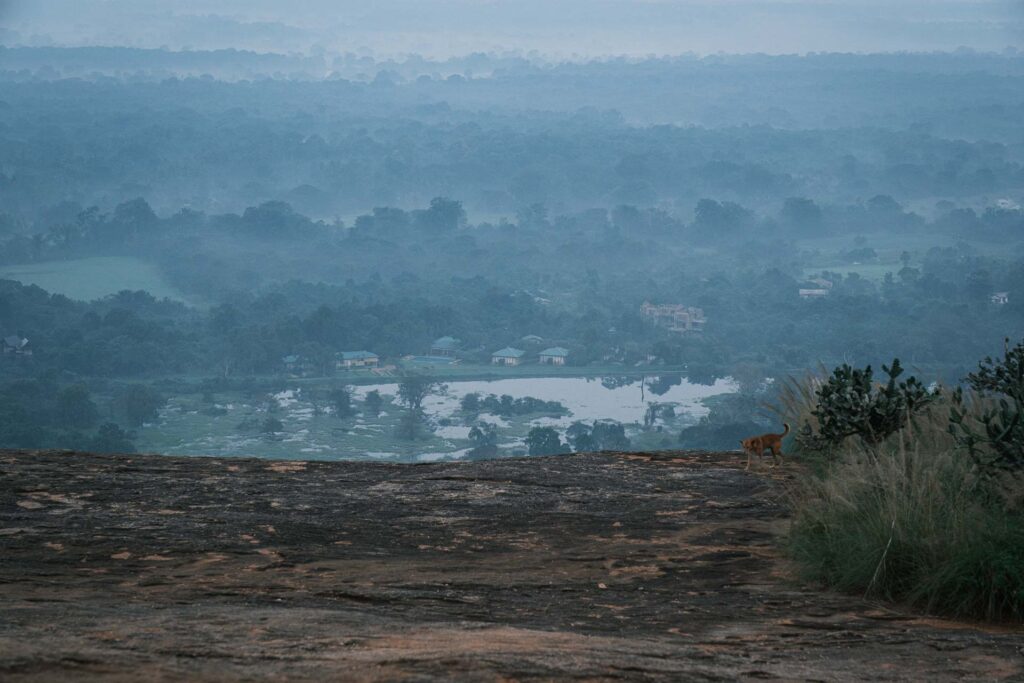 Sigiriya Kings Resort, från Pidurangala klippan