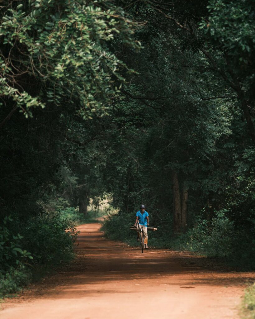 En stilla promenad i området runt Sigiriya King's Resort.
