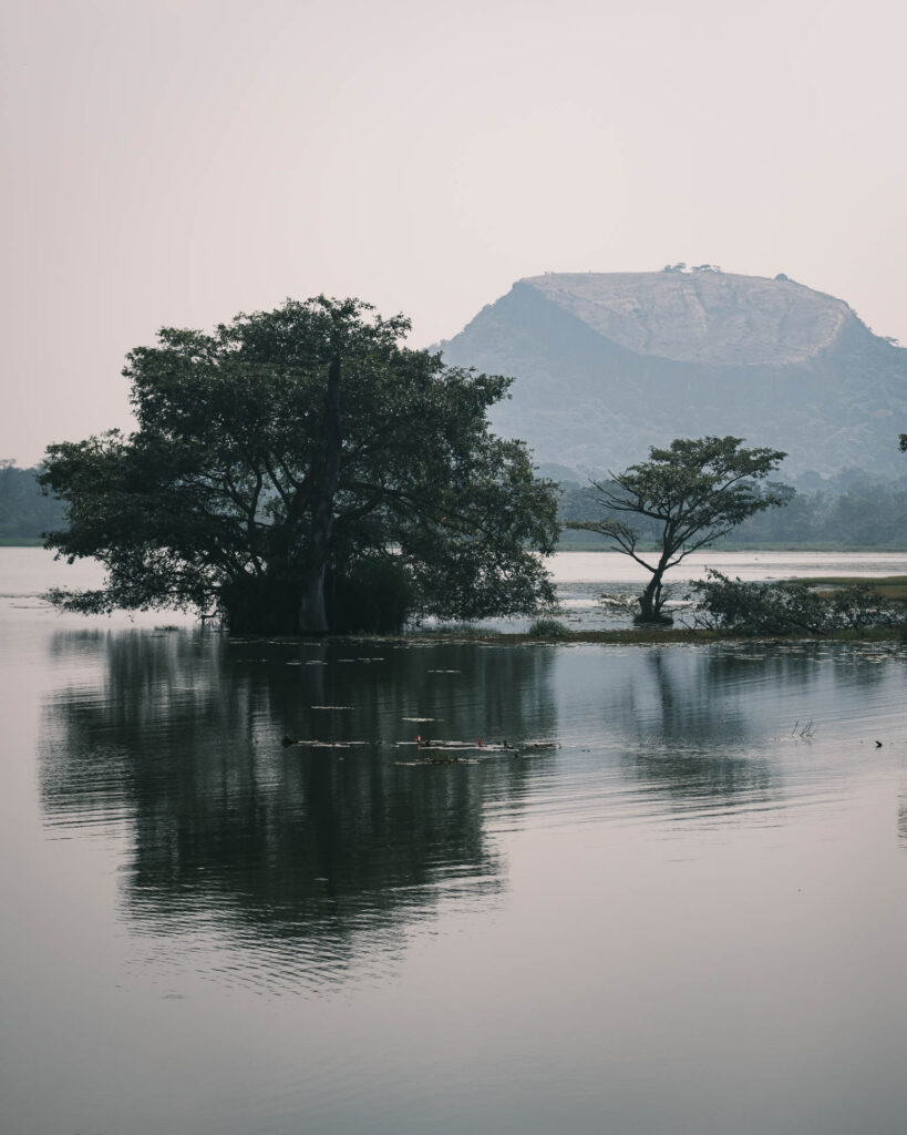 En stilla promenad i området runt Sigiriya King's Resort. vacker vy